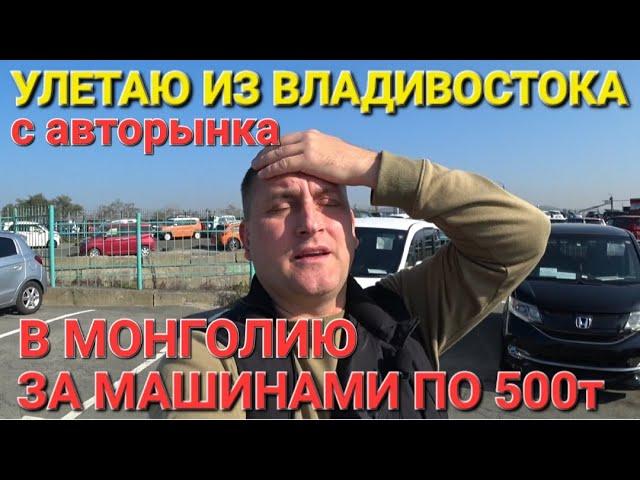 С АВТОРЫНКА ИЗ ВЛАДИВОСТОК В МОНГОЛИЮ НА АВТОРЫНОК, ЗА МИНИВЕНОМ С БЮДЖЕТОМ В 500тыс