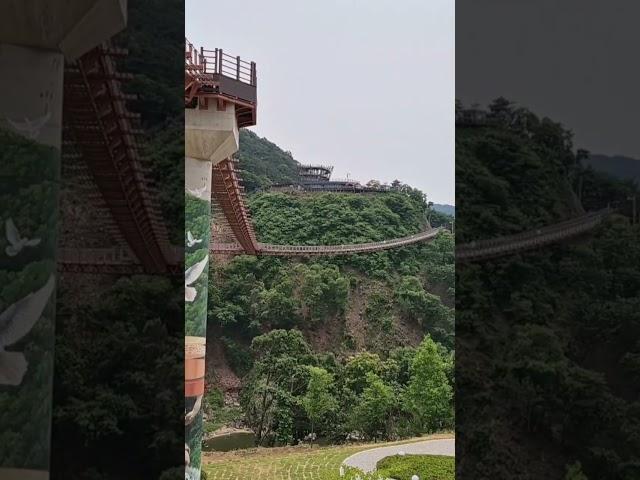 🫧저어라 ⭐️장민호 🪻배경 포천 가든페스타 포천y자형출렁다리
