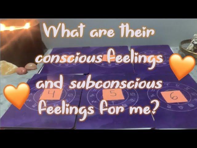 Pick a card  What are their conscious feelings and subconscious feelings for me? (timeless)