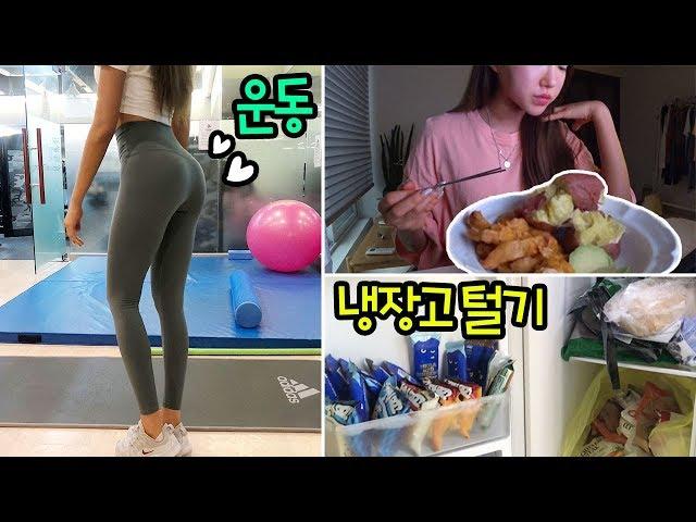 [VLOG] 대회 끝! 다이어터유지어터 