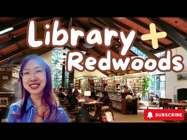 Mill Valley’s Library Hidden in the Redwoods  A Bookworm’s Forest Retreat 