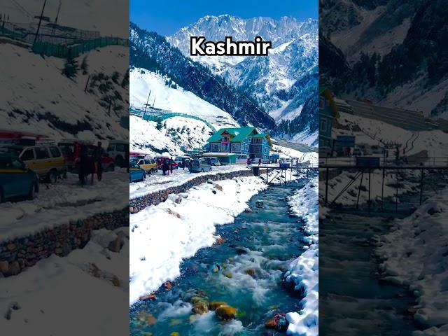 Snowfall in Kashmir !! Enjoy trip