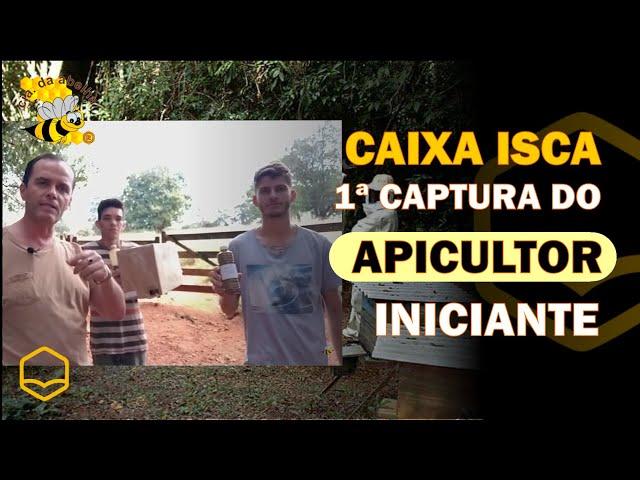 A 1ª CAPTURA DO APICULTOR INICIANTE POR CAIXA ISCA