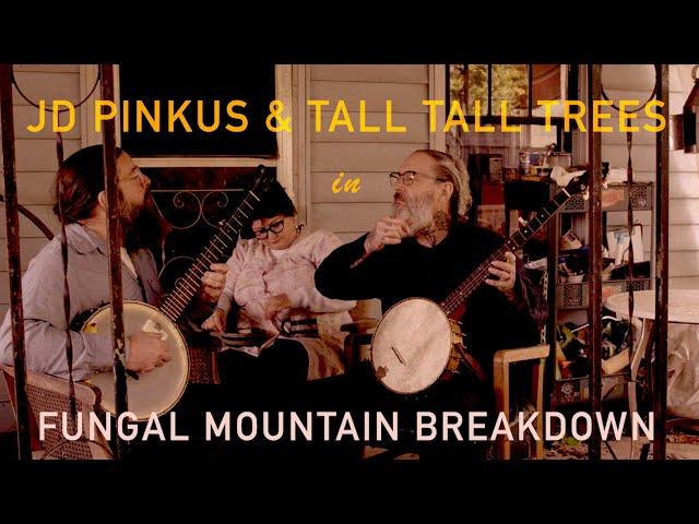 JD PINKUS & TALL TALL TREES - "Fungal Mountain Breakdown" (Official Shimmy-Disc Video)