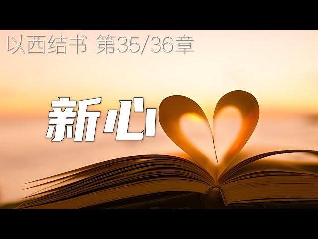 一起读圣经1078- 我要赐给你们一个新心，将新灵放在你们里面。  -以西结书 第35/36章