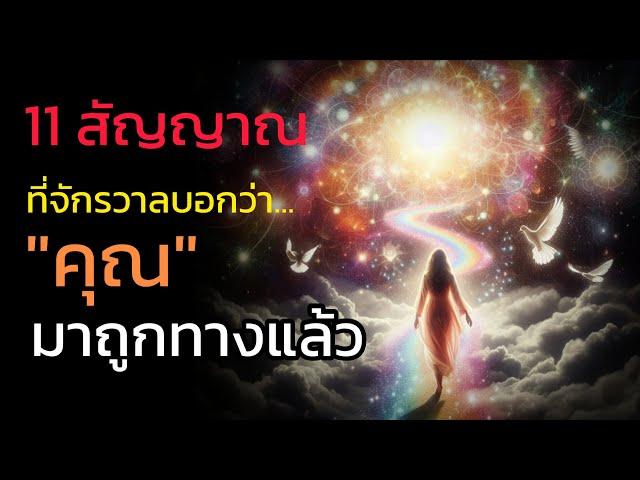 🪽11 สัญญาณ ที่จักรวาลต้องการบอกว่า "คุณ.. มาถูกทางแล้ว"| The Key ไขความลับจักรวาล เพื่อการตื่นรู้