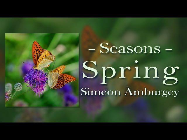 Seasons Spring Simeon Amburgey Relaxing Instrumental music