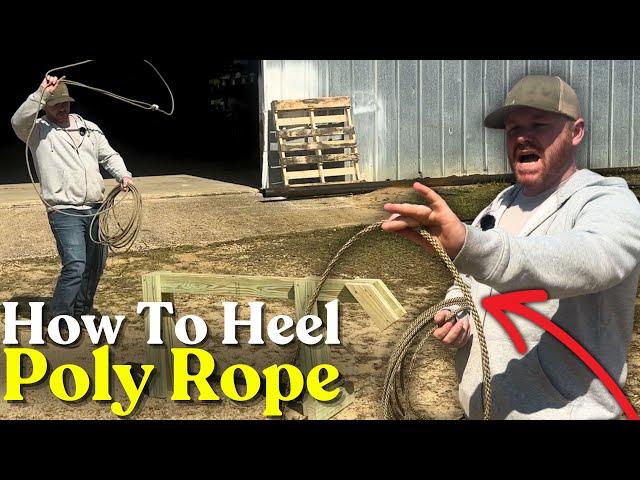 How to heel calves with a poly ranch rope