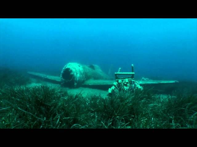 Wreck plane P47 Thunderbolt .mpg