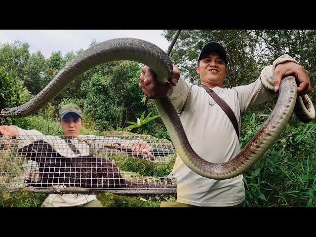 Đột Nhập Lãnh Địa Khu Quái Vật Invasion of Monster Territory