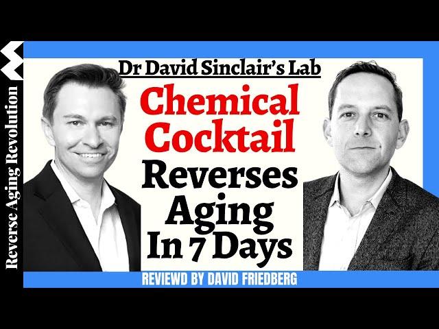 Dr David Sinclair Lab "Chemical Cocktail Reverses Aging" Reviewed By David Friedberg