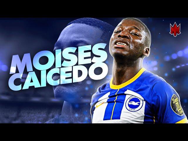 Moisés Caicedo 2023 - Welcome to Chelsea - Defensive Skills - HD