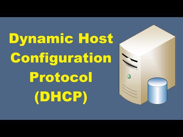 Understanding How DHCP Works (Step by Step)