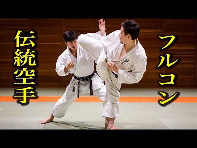 Verify! Traditional Karate vs Full contact Karate, how to fight?