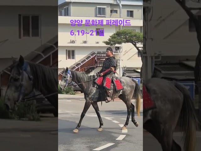 "양양 문화축제 한복판에서 만난 로컬의 힘!｜디지털 유목민의 비즈니스 여행 브이로그"