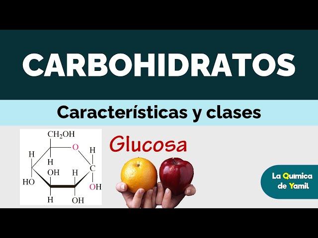 CARBOHIDRATOS | ESTRUCTURA Y CLASIFICACIÓN