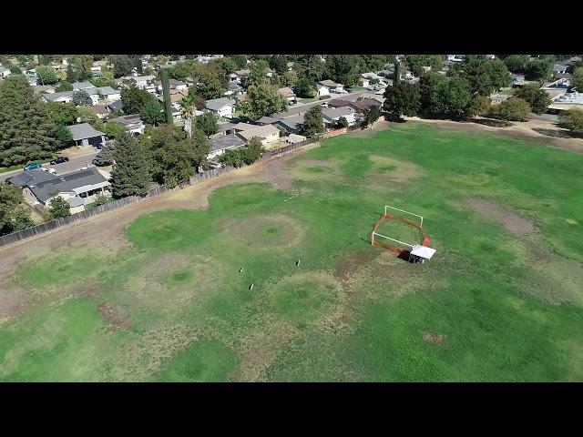 Magyar Agar Lure Coursing, Drone Footage #1