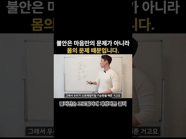 불안의 원인은 머리,가슴,배 3군데 모두에 있습니다.