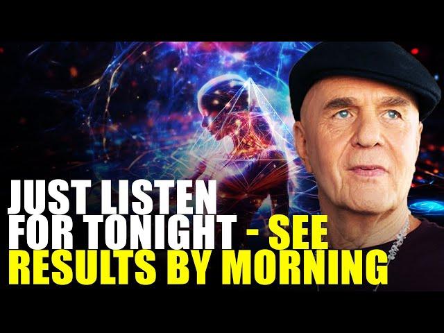 JUST ONE NIGHT AND YOU WILL NEVER BE THE SAME AGAIN! WAYNE DYER REPROGRAM YOUR MIND OVERNIGHT