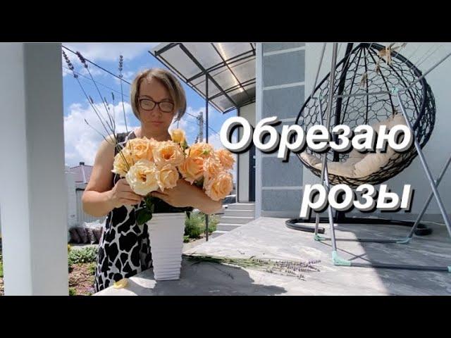 Почему я должна скучать по северу если …/Переезд на юг/Life in Russia