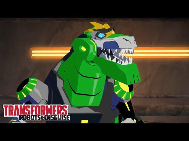 Grimlock Forgets How to Fight!  Transformers: Robots in Disguise | Comp 8 | Transformers TV |