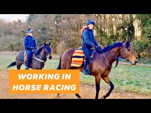 Martin Smith Racing - Stable Hand for a Newmarket Racehorse Trainer - Toni Hunter