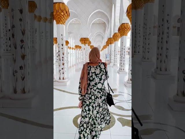 The most beautiful mosque in the world? (Abu Dhabi)