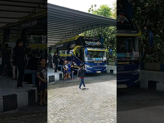 Telolet Basuri Drakadan Bus Tronton Rimba Raya#busmania #basuri #telolet