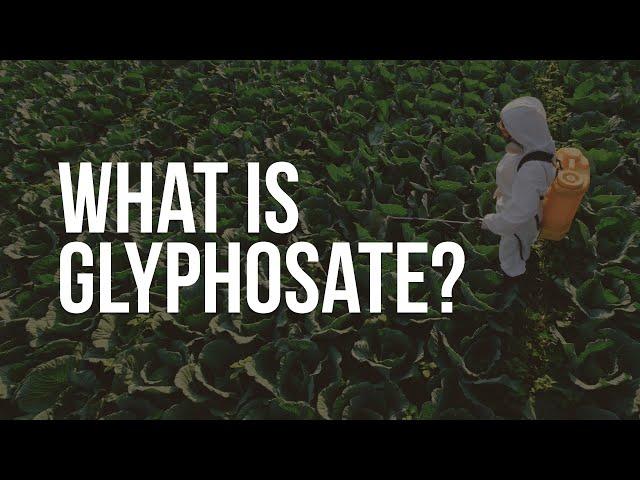 EWG Explains: Glyphosate