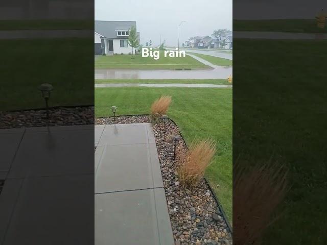 #bigrain
