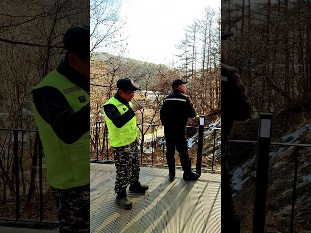 #횡성군 #둘레길나무정리지원 #산양삼.생강차 #숲경영체험림 싱싱포레