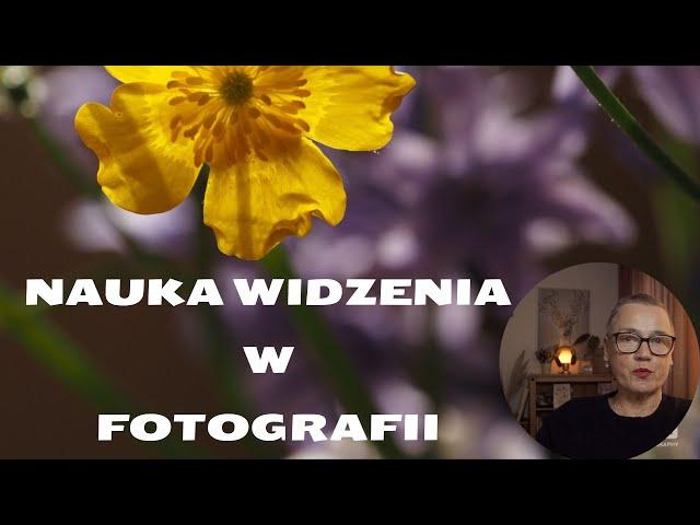 Nauka widzenia w fotografii. Czyli czym patrzysz, tym przyciągasz...