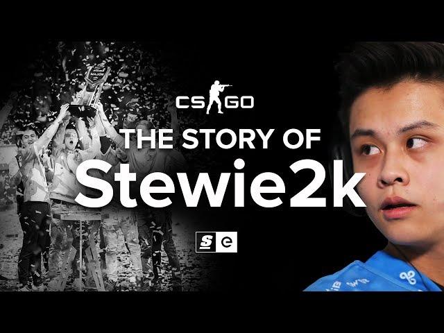 The Story of Stewie2k: From Pug-Star to Superstar