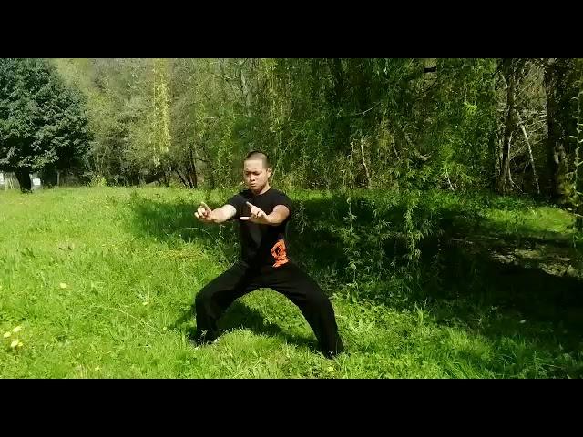 Y.F.  Yan Tao Ma bu