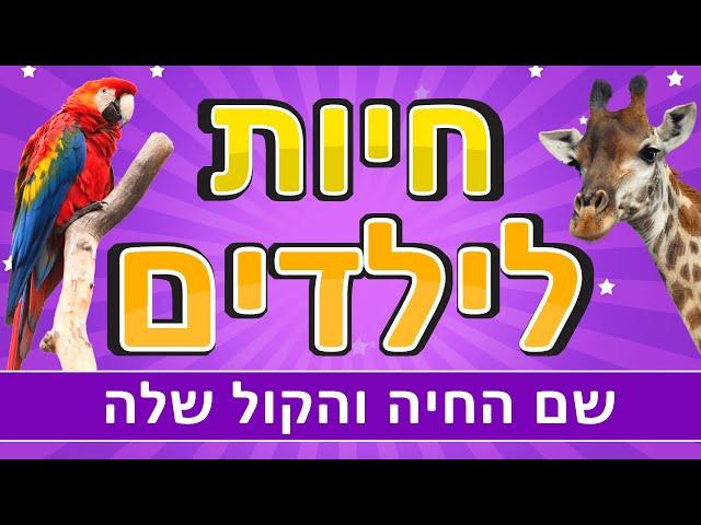 חיות לילדים | קולות של חיות