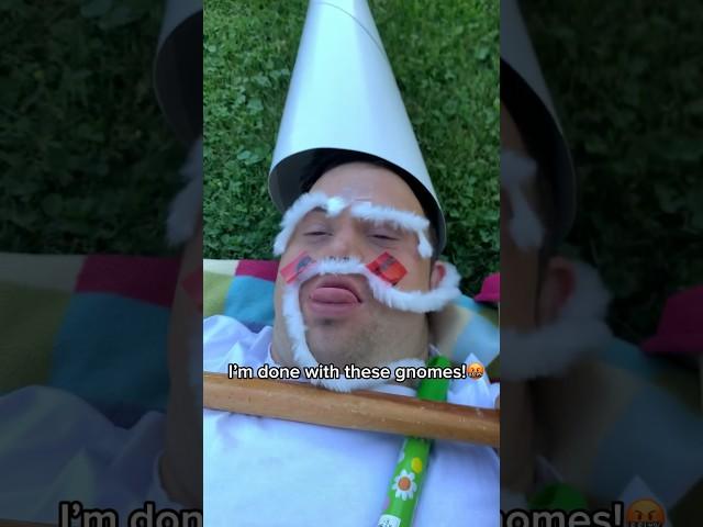 THE GNOMES ARE EVOLVING #gnomes #knights #wizard #downsyndrome #trend