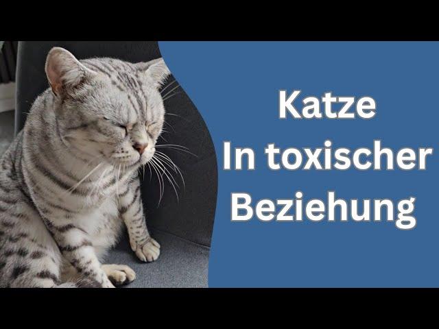 Cosmo führt eine Toxische Beziehung