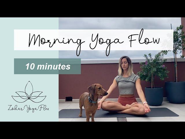 Morning Yoga Flow | 10min with Zohar.Yoga.Flex