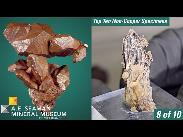 Top Ten Non-Copper Specimens from the A.E. Seaman Mineral Museum - 8 of 10 - Calaverite