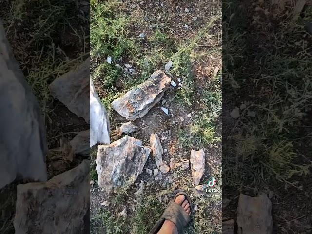 Rough Jade Stone from the surface of the Divinity Jade vein #nephrite #jade