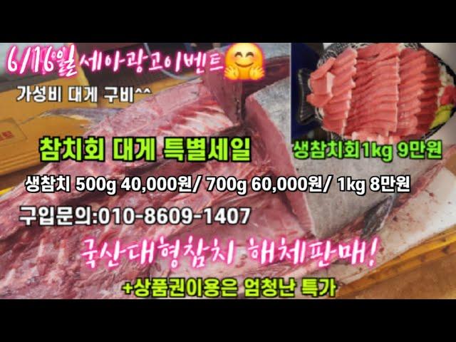 6/16일 킹크랩 대게 꽃게 모둠회 04시반 정규라이브(월~토)️Only one 새롭고 싸고  노량진수산시장 새벽 쇼핑을 돕는 정규생방송(Live)운영~