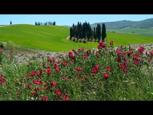 San Quirico d'Orcia in 4K UHD - HLG HDR. Sony a7-IV (M4)