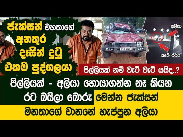 ජැක්සන් මහතාගේ අනතුර ඇසින් දුටු එකම පුද්ගලයා කියන කතාව - Jackson Anthony | Elephant