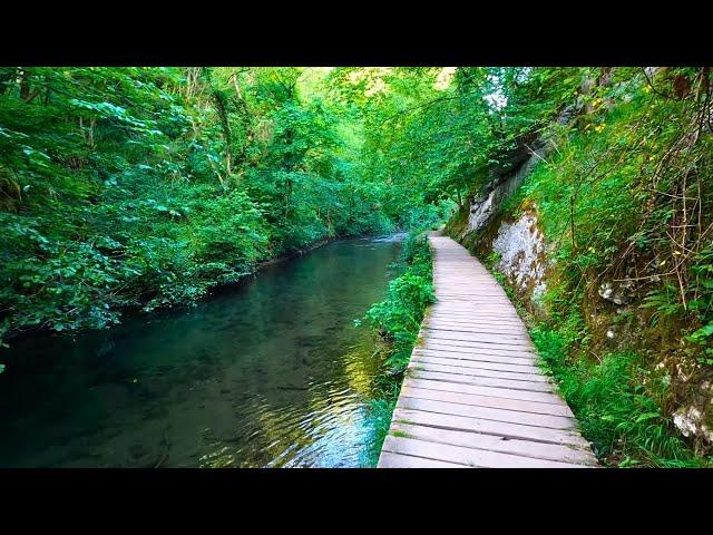 Dovedale to Milldale 26th Best British Walk, English Countryside 4K