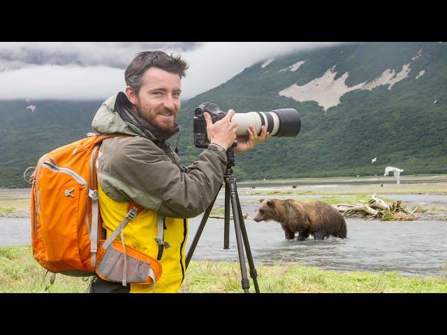 Getting into wildlife photography...