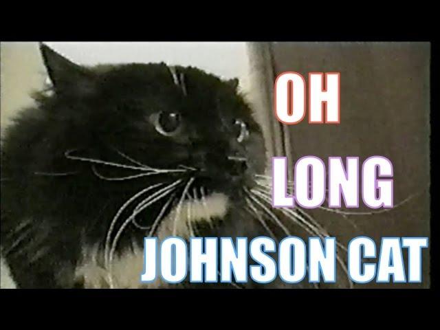 Talking Cat Saying "Oh Long Johnson"