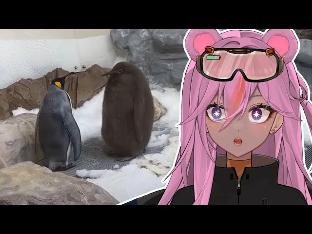 THE BABYY II VTuber Reacts to Daily Dose of the Internet