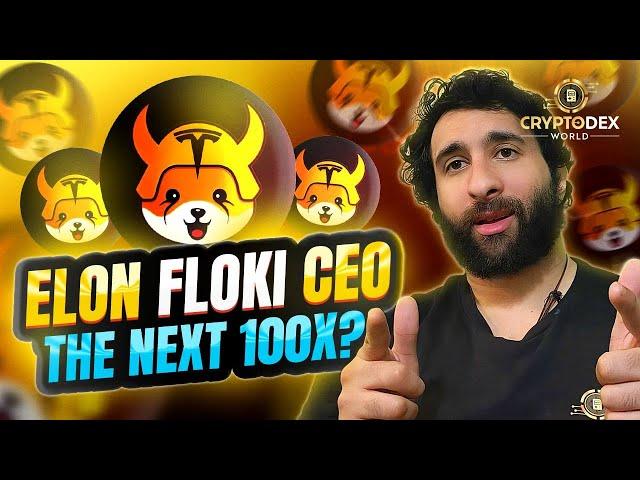 Elon Floki CEO -  Project Review by CryptoDexWorld