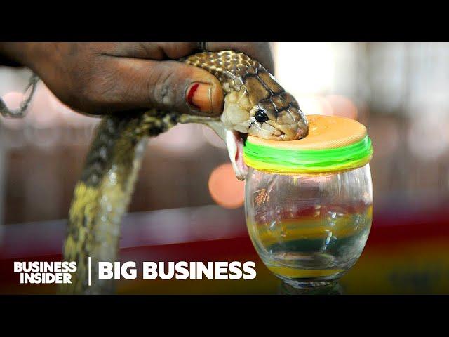 How Antivenom Is Made During A Global Shortage | Big Business | Business Insider