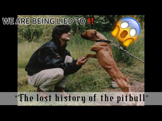 The lost history of the Pit-Bull ‼️: Viewer discretion is advised